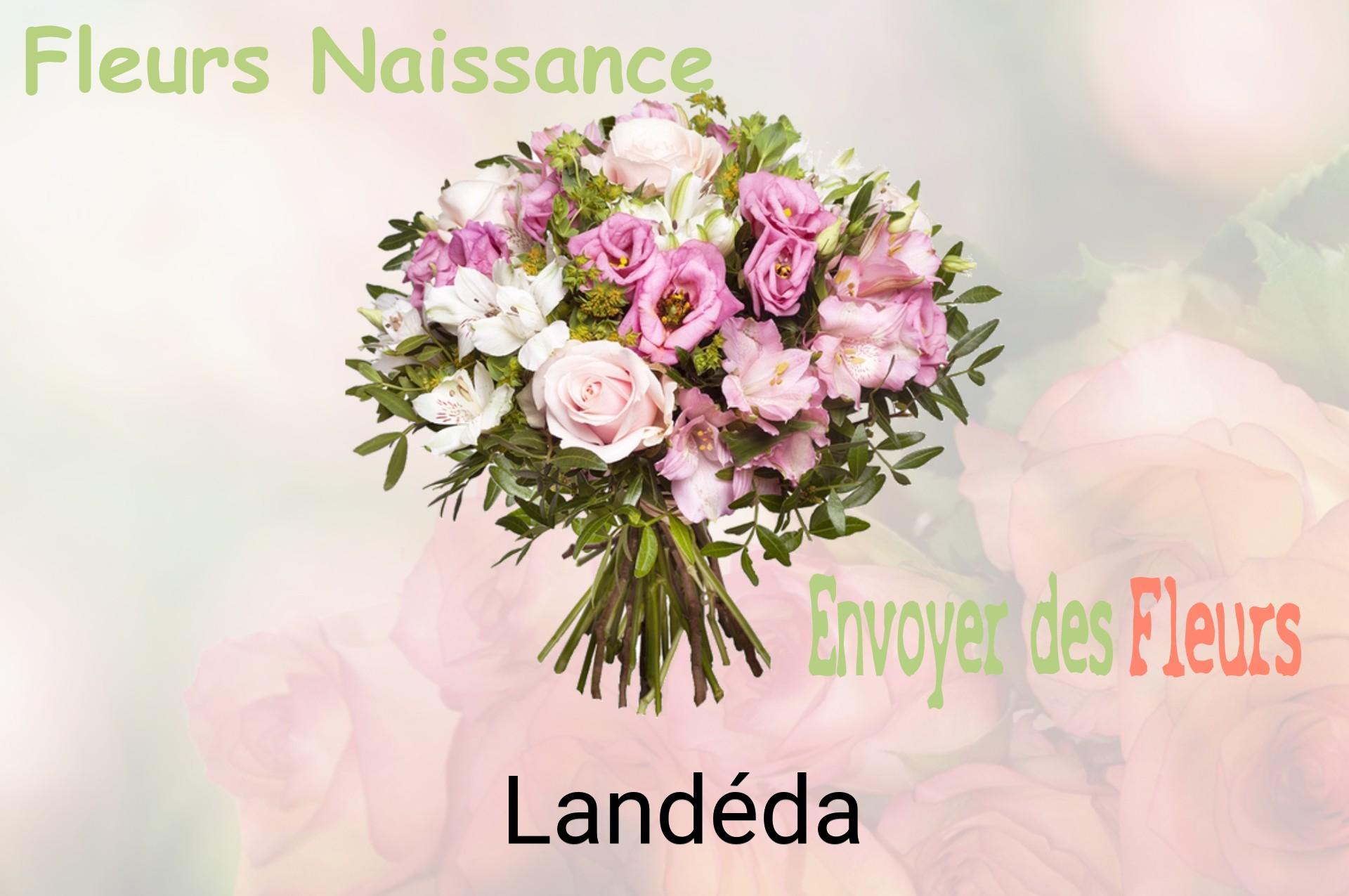 Bouquet de fleurs de naissance livré à Landéda